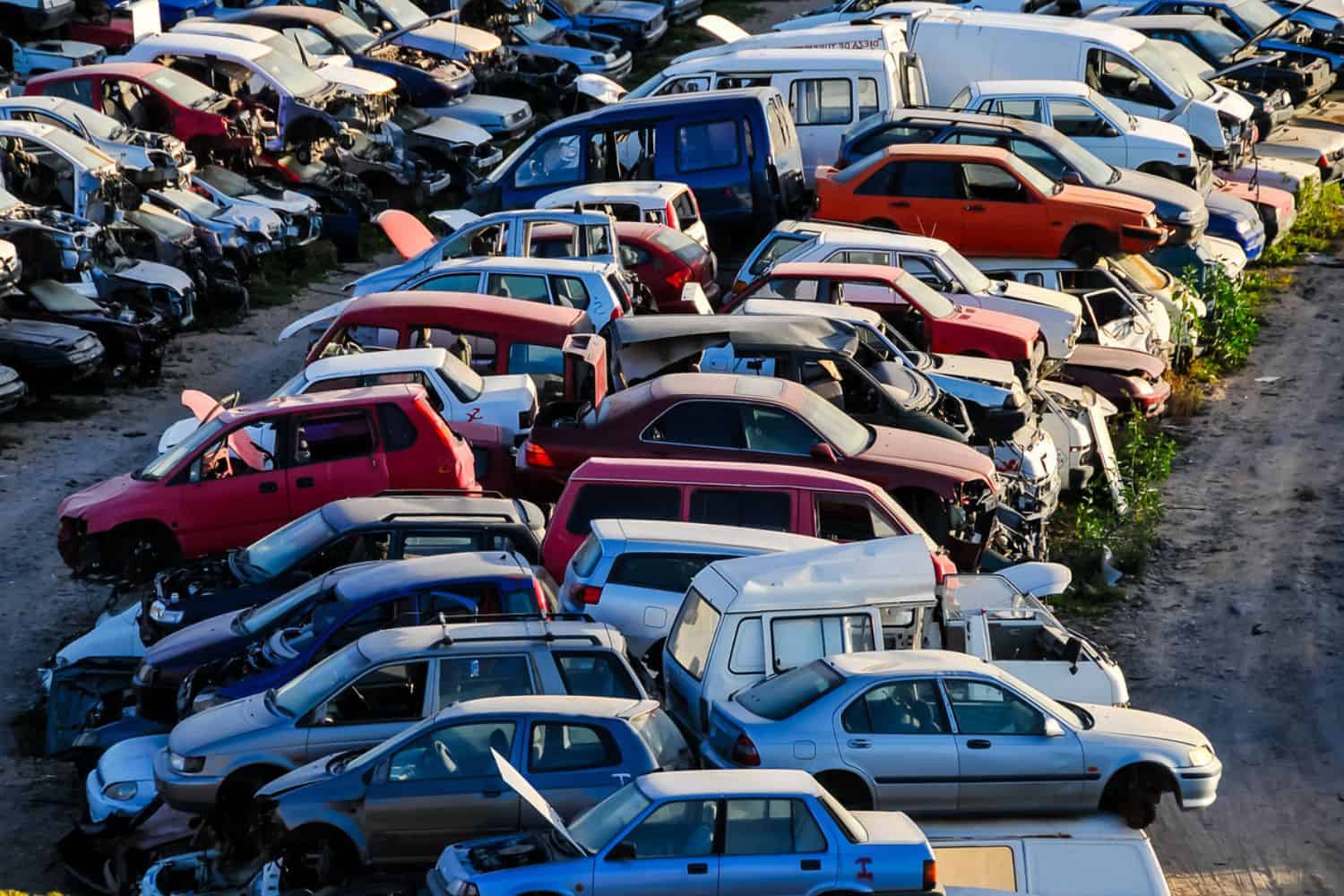 You’ve been warned, collect your cars before this date, or they will be sold, EMPD says | Network News