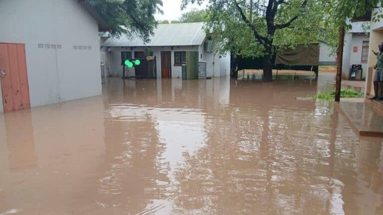 In case you missed it: Phahlane: Step-aside ‘guinea pig’ | Placement backlog blamed on parents | Floods disrupt Limpopo | Network News