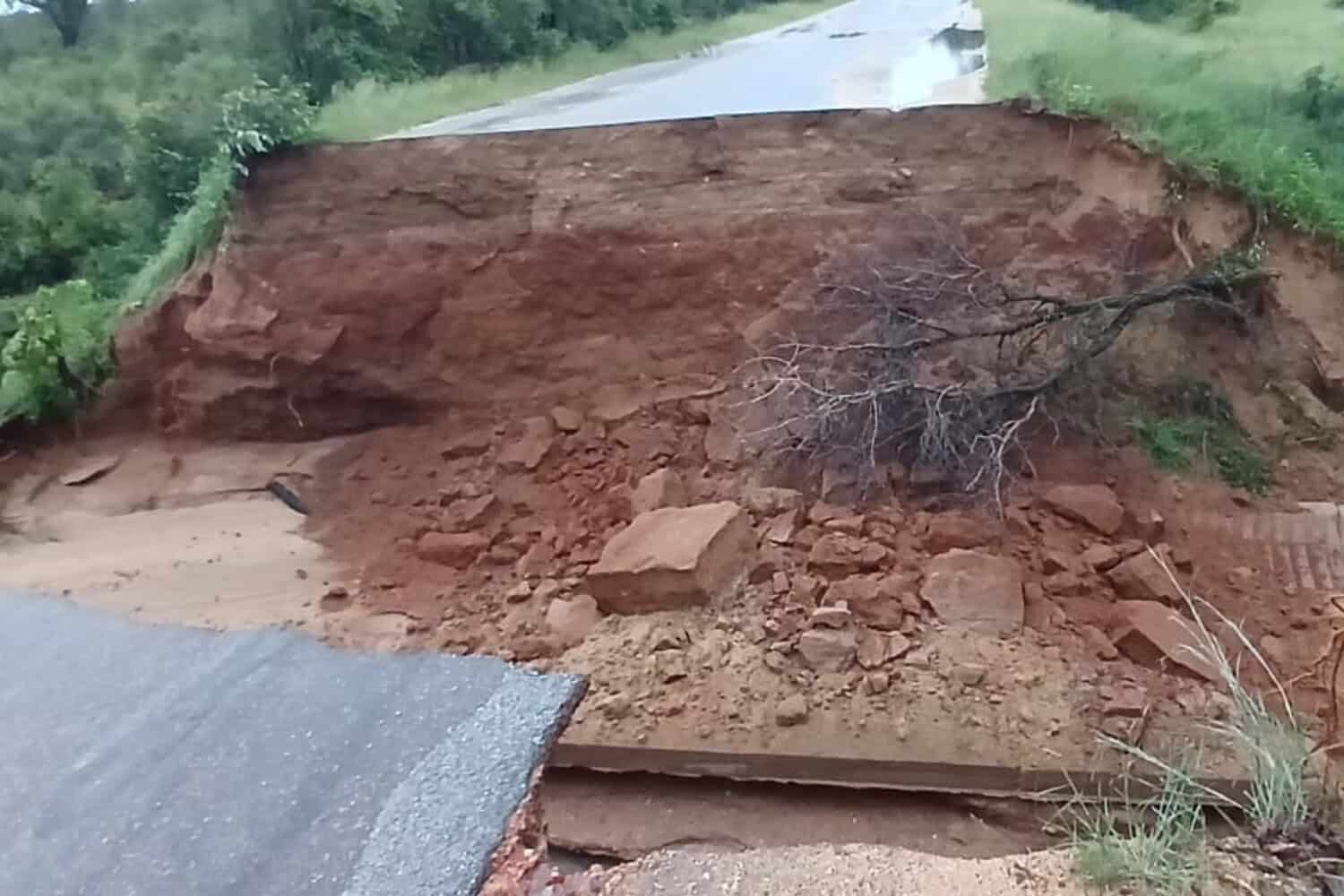 Kruger National Park visitor numbers restricted after roads wash away overnight | Network News