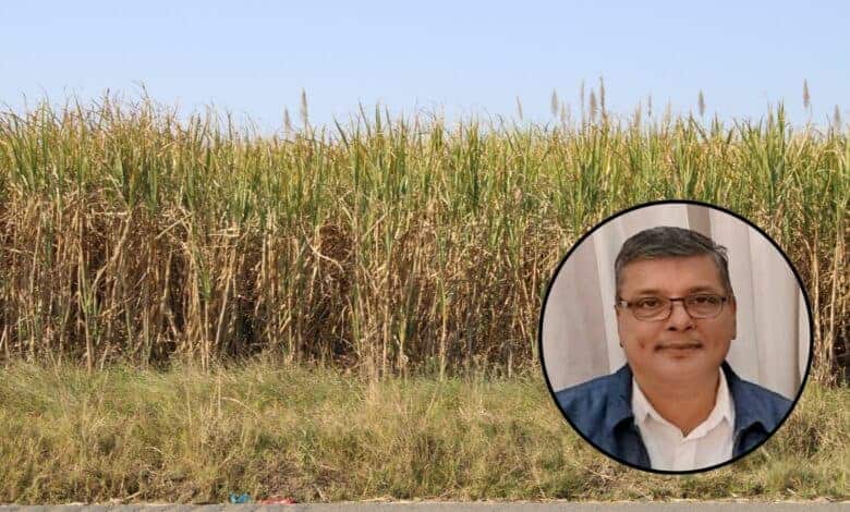 A picture of Aman Roopsingh.