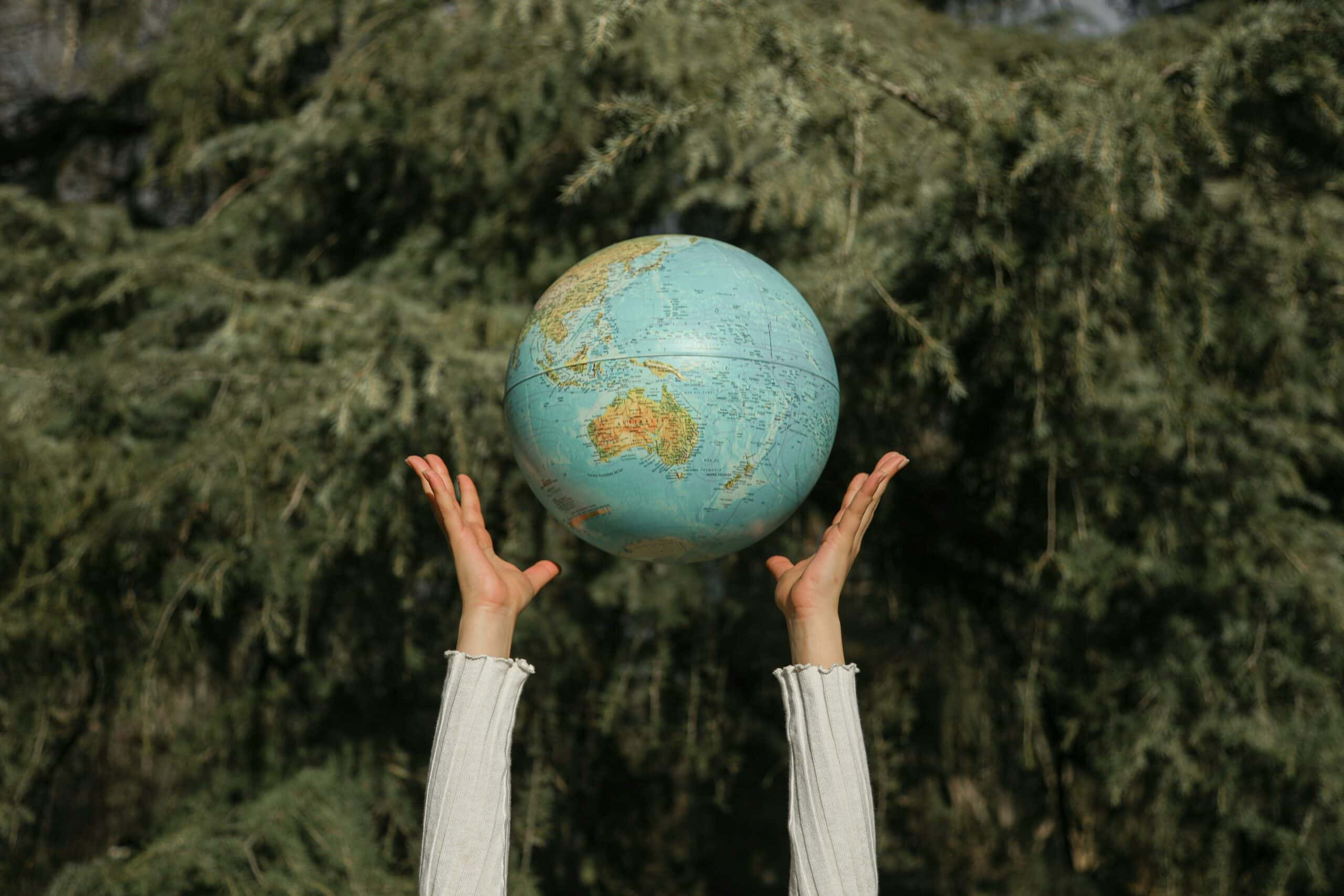 Hands throwing a soccer ball-sized earth globe into the air with tree branches visible in the background