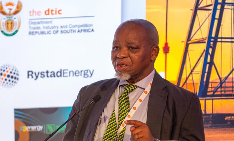 Minister Gwede Mantashe