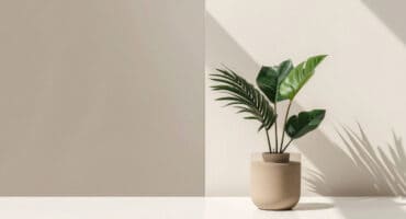 great gifts for new homeowners