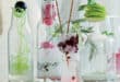 Pomegranate vodka cocktail with beetroot garnish