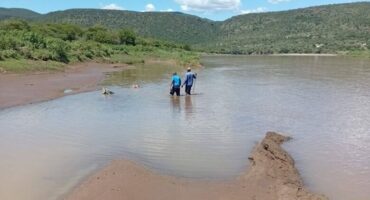 Two men walking in the water in a river searching for missing flood victims