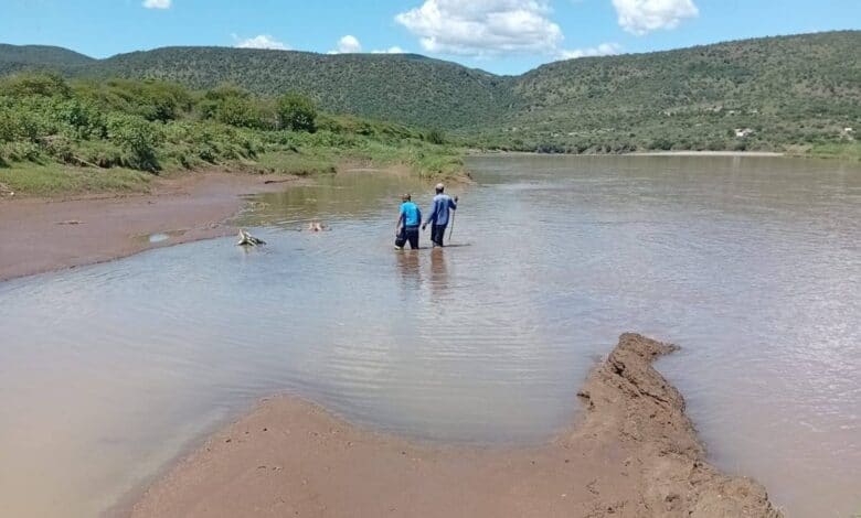 Two men walking in the water in a river searching for missing flood victims