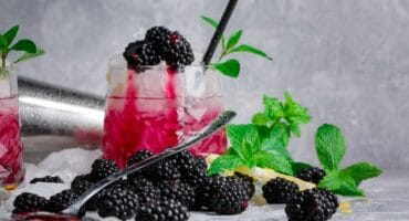 Berry-packed mojito cocktail made for warm afternoons