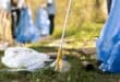 Park clean up