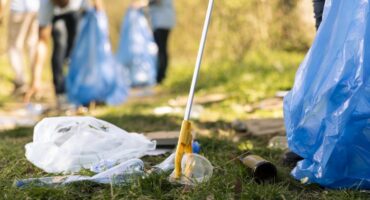 Park clean up
