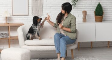 purchasing a property on your own doesn't mean navigating the journey alone.
