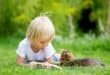 Create a pet-friendly garden