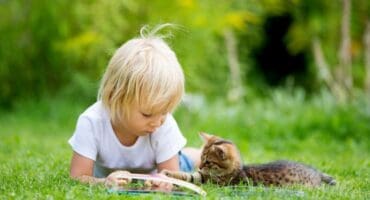 Create a pet-friendly garden