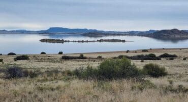 Gariep Farm. Image supplied by Gaye de Villiers