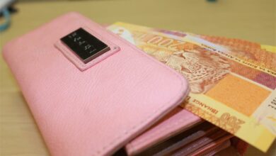 purseandmoney3_45911