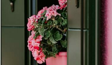 annie-spratt-_isDoK_03116