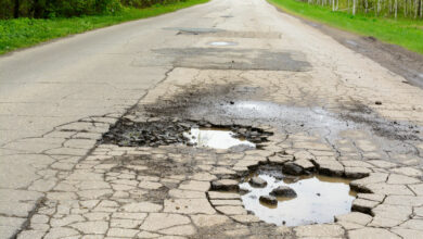 Broken road in the woods