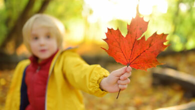 Have fun with your toddler with this leaf printing activity