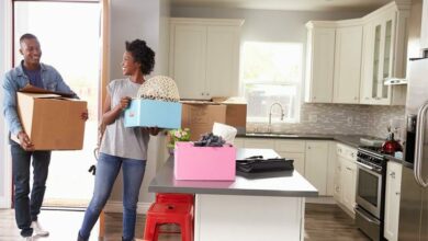 Seefflifestyle(11_60117