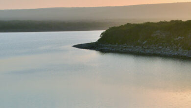 de hoop2