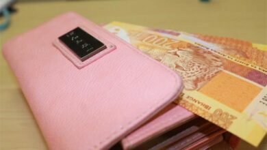 purseandmoney3_34434