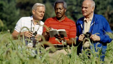 seniorsoutdoor_96239