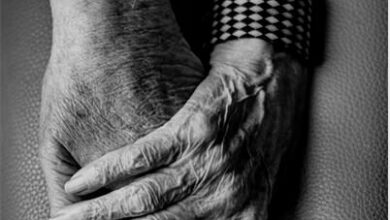 gert-stockmans-n85t_87947