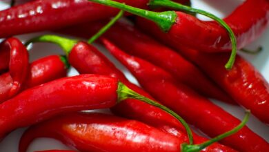 rialienfurstenberg-24-03-2021-health-heartburn-photo