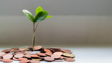 LNN Featured Image_2 (4)