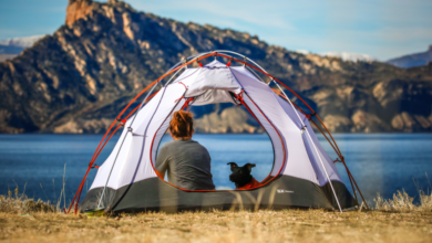 LNN featured image_2 (8)