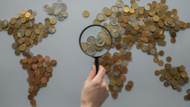 LNN Featured image_2 (6)