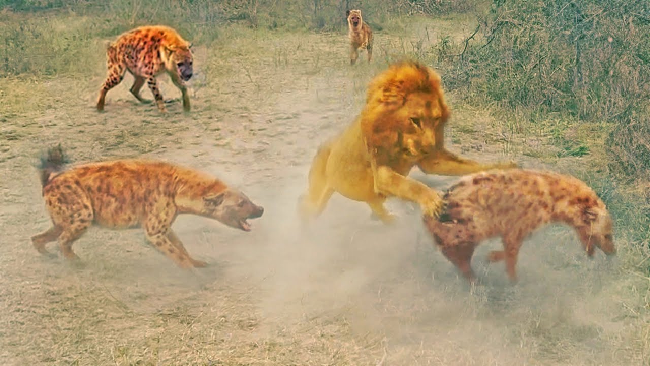 qRVcgbFQxY0-HD