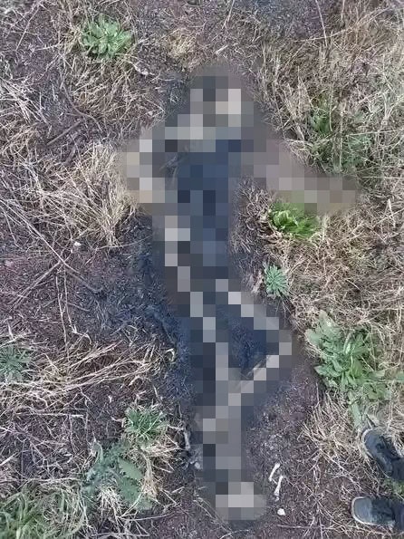 Warning graphic image: A woman has since come forward, believing the remains to be her mother who went missing in March 2025.