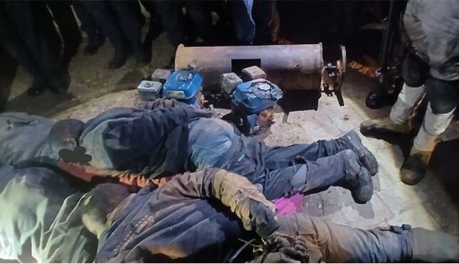 The crackdown targeted economic infrastructure crimes, resulting in firearm seizures and the arrest of undocumented individuals.