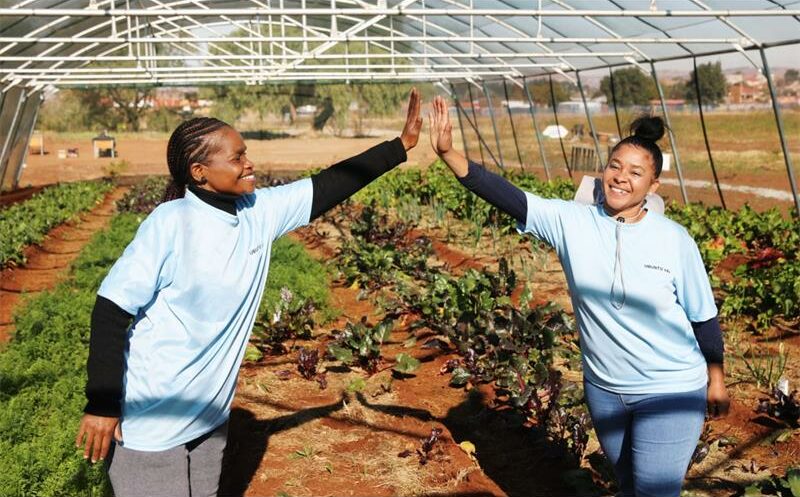 The Urban Organic Farming Community (UOFC) celebrated its first Market Day at Klipspruit West Secondary School, offering fresh organic produce and promoting township entrepreneurship through sustainable farming.