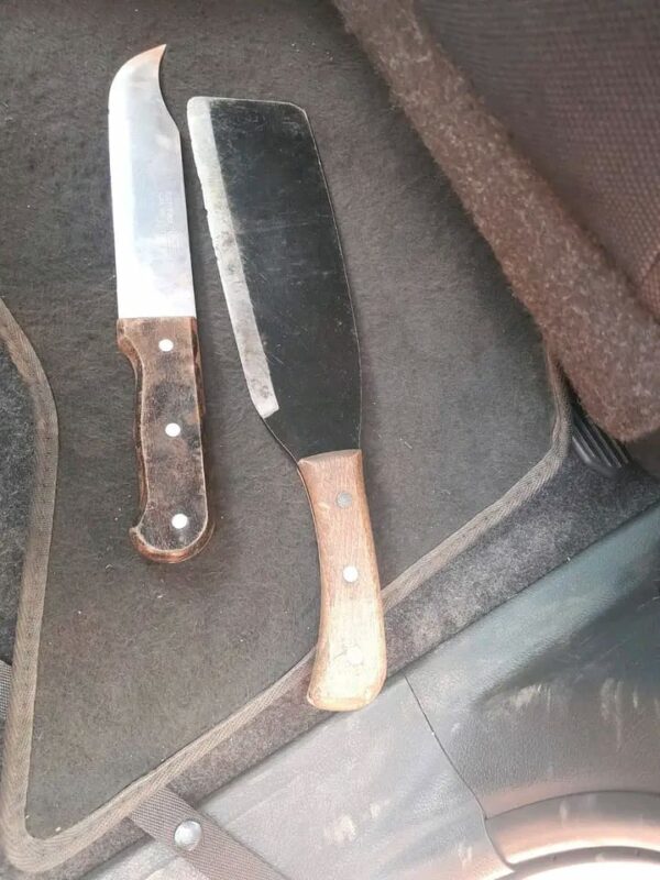 During their arrest, the officers recovered two large knives and the victim's stolen cellphone.