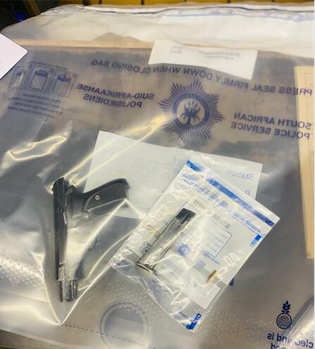 The incident occurred during a Disruptive Crime Prevention Operation from 16:00 until 04:00, when police were patrolling and maintaining visibility in Freedom Park.