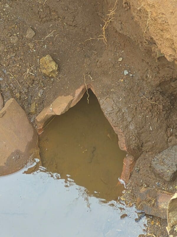 Police have opened an inquest for further investigations.