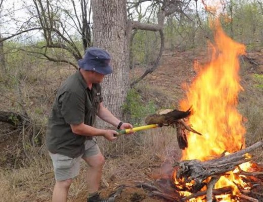 : A ranger having to burn the carcasses of poisoned vultures : photo provided by Walinzi Wildlife Protection Unit.