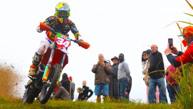 CC_Eston_Bradley_Cox