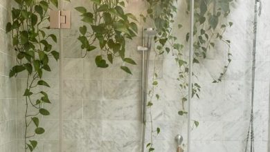 ElanaWagner-13-10-2021-Decor-IndoorPlants.1 (Medium)