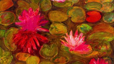 Bronwen Findlay; Waterlilies