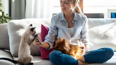 ElanaWagner-12-11-2021-pets-Costs.2