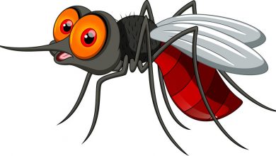 Every conceivable baby-friendly hack for mozzies