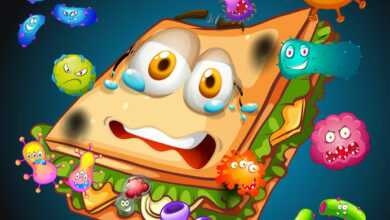 How to protect your child from foodborne disease