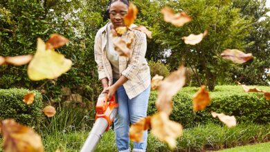 ElanaWagner-22-07-2022-Home-LeafBlower.1