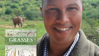 Penguin Post19_500x500_6