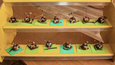 Crafting with kids: Create an owl with an acorn