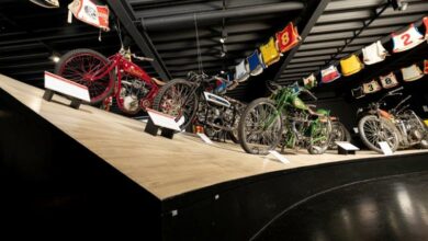 Forshaw Collection Autumn Stafford