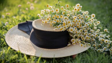 Alice Coetzee- 09-09-2022-gardening- lawn care- photo 1