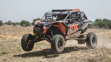 Cecil & Elardus Larney